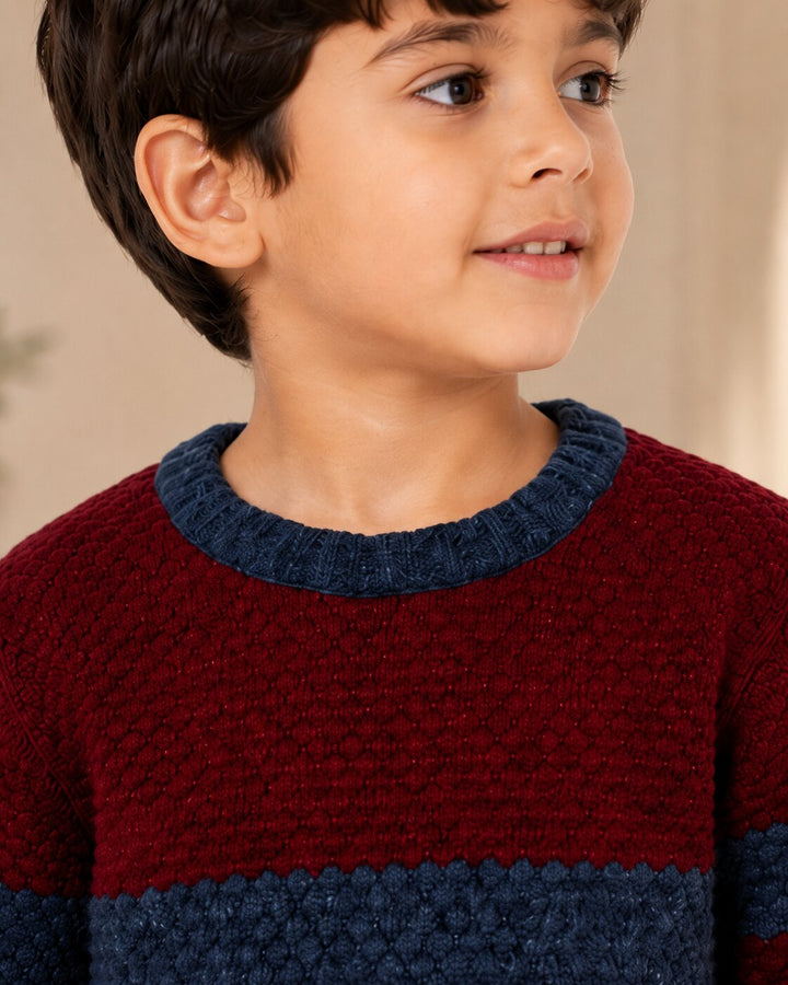 Sportking Striped Textured Sweater – Maroon
