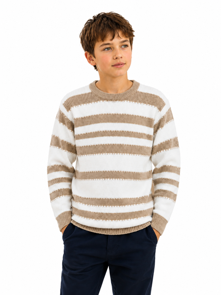 Sportking Regular Fit Striped Sweater – Beige